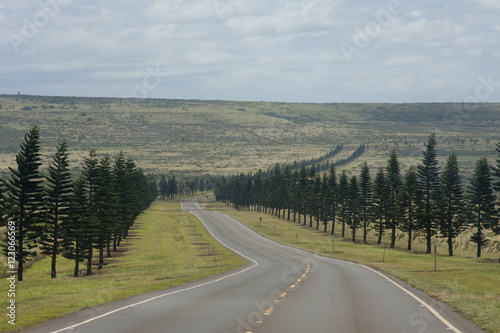фотографія Lanai Pine road Hawaii