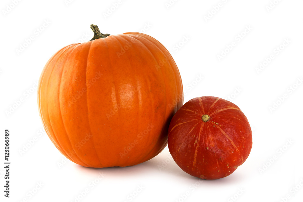 Obraz premium two pumpkins, orange and red for halloween isolated on a white background