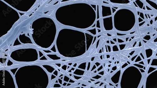 Spider silk, SEM photo