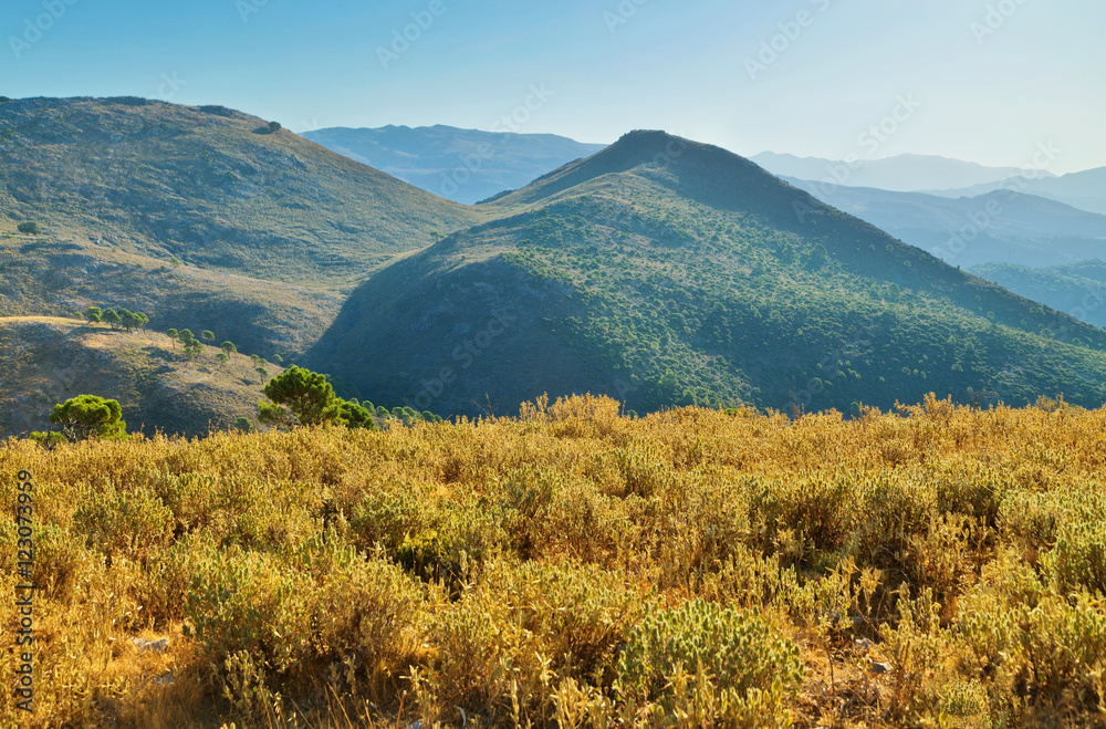 Andalusian landscape