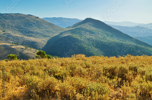 Andalusian landscape