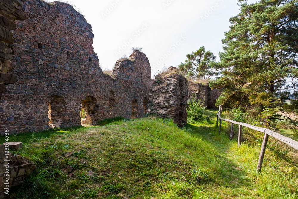 Ruins of castle Vrskamyk, Czech Republic.