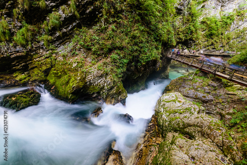 The famous Vintgar gorge Canyon with wooden pats in the natural Park Triglav  Slovenia.  