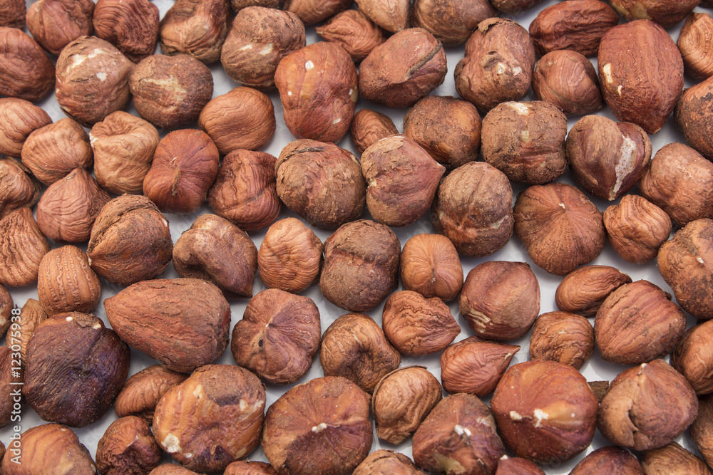 Kernel of Hazelnut as Background Kernel of Hazelnut as Background