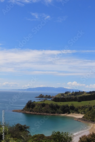 Island Beach  in New Zealand portrait 