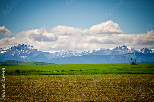 Mountain Pastures