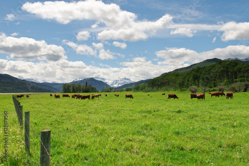 Mountain Pastures
