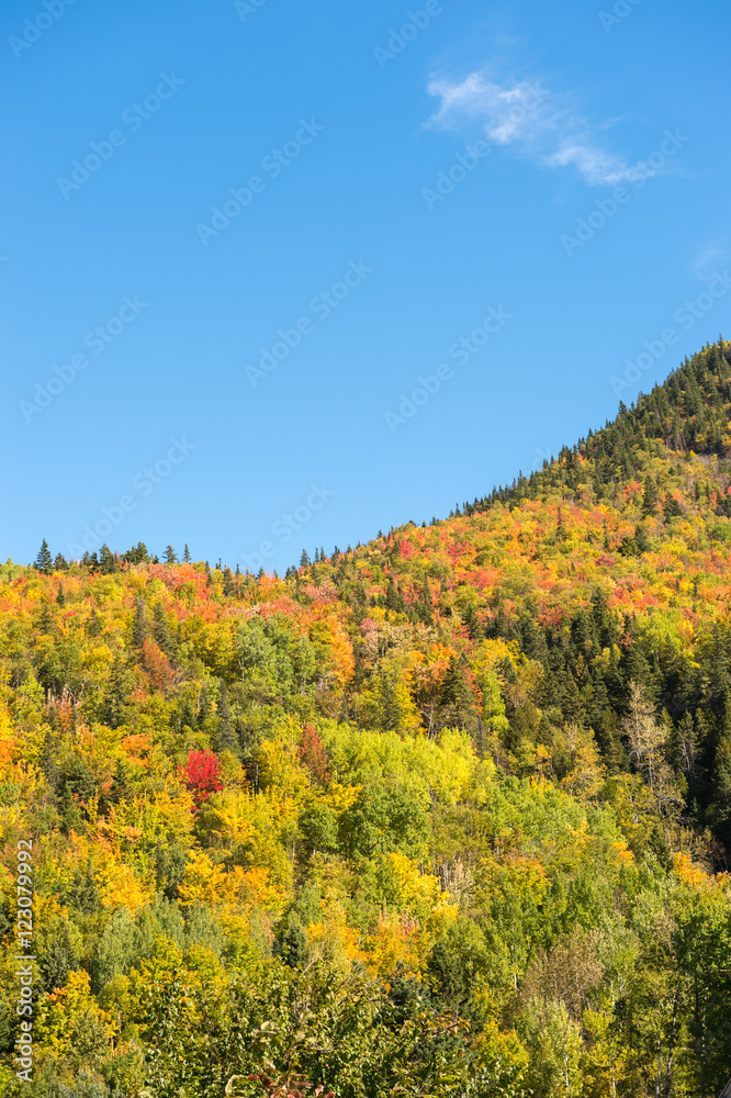 Autumn colors on Chic-Chocs mountains in Gaspesie, Quebec, Canad