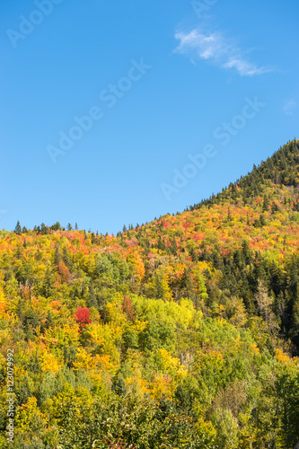 Autumn colors on Chic-Chocs mountains in Gaspesie  Quebec  Canad