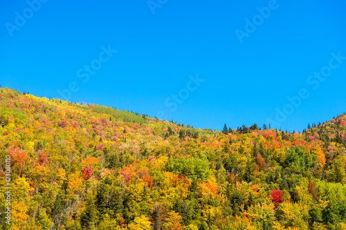 Autumn colors on Chic-Chocs mountains in Gaspesie  Quebec  Canad