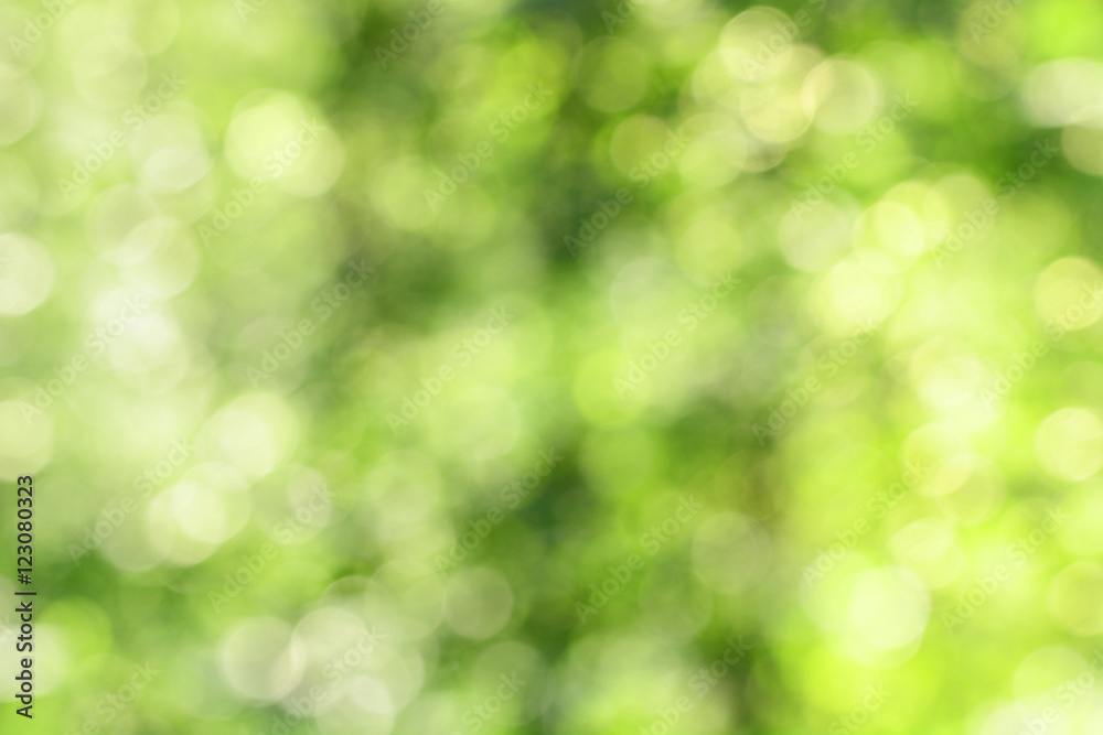 Green abstract background Green abstract background