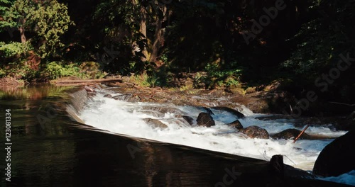 small rapids sourrounded by woods on summer day photo