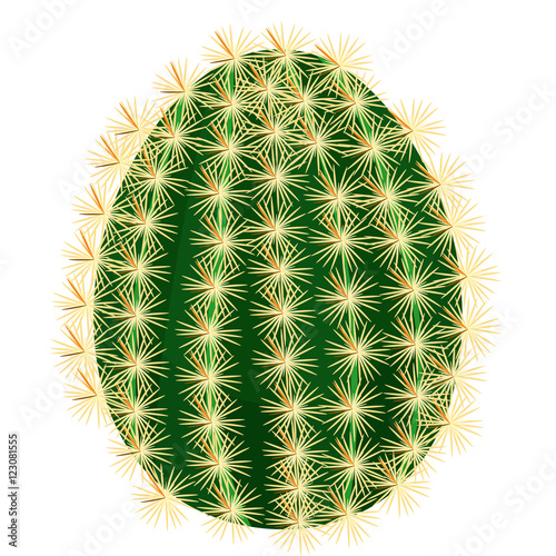 cactus without flowers close up.  illustration