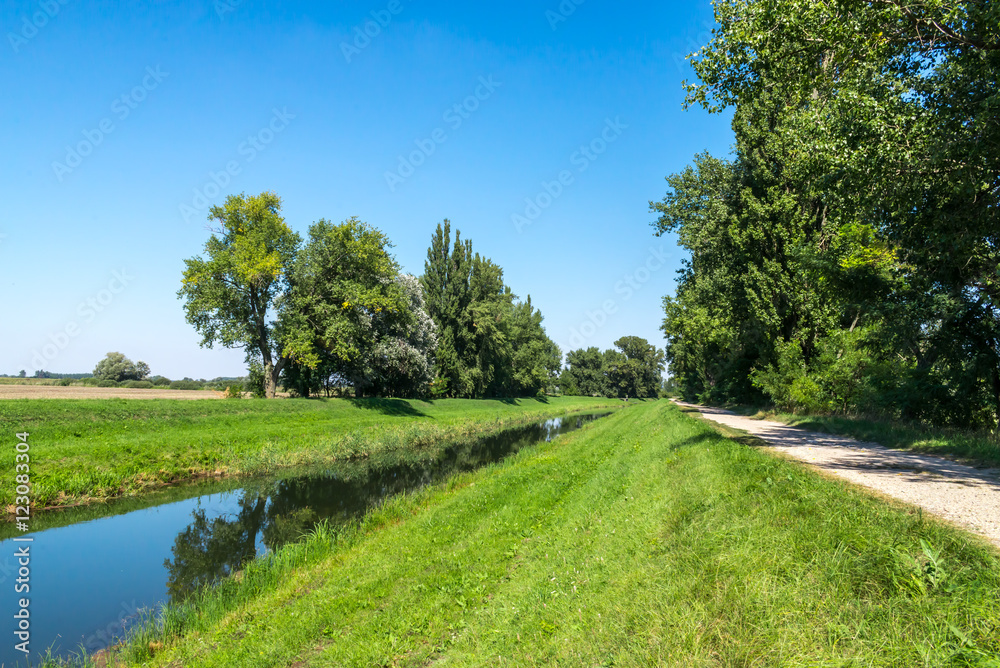 Rural water canal in forest