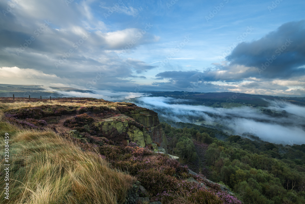 Scenic View of Hills Covered in Heather Flowers and Morning Mist