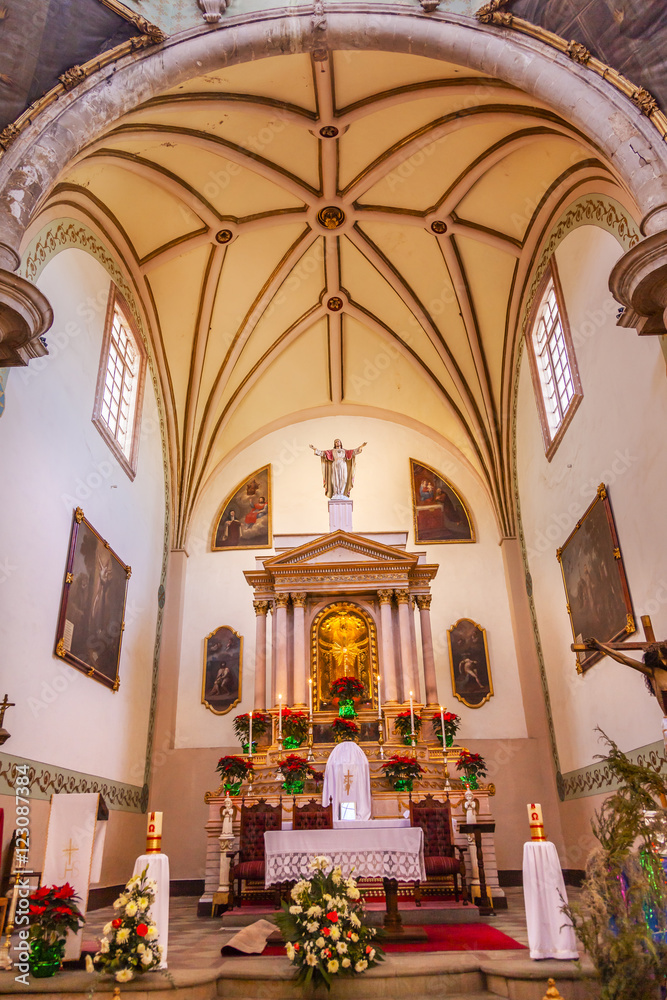 Basilica Templo De La Compania Guanajuato Mexico