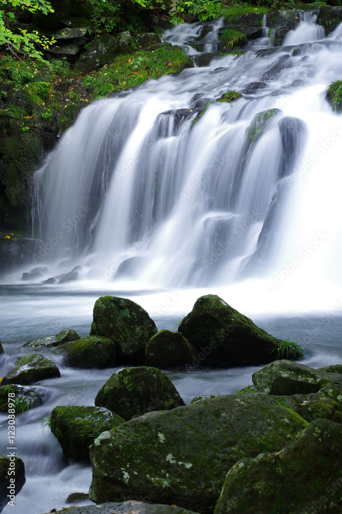 Fototapeta premium 蓼科大滝
