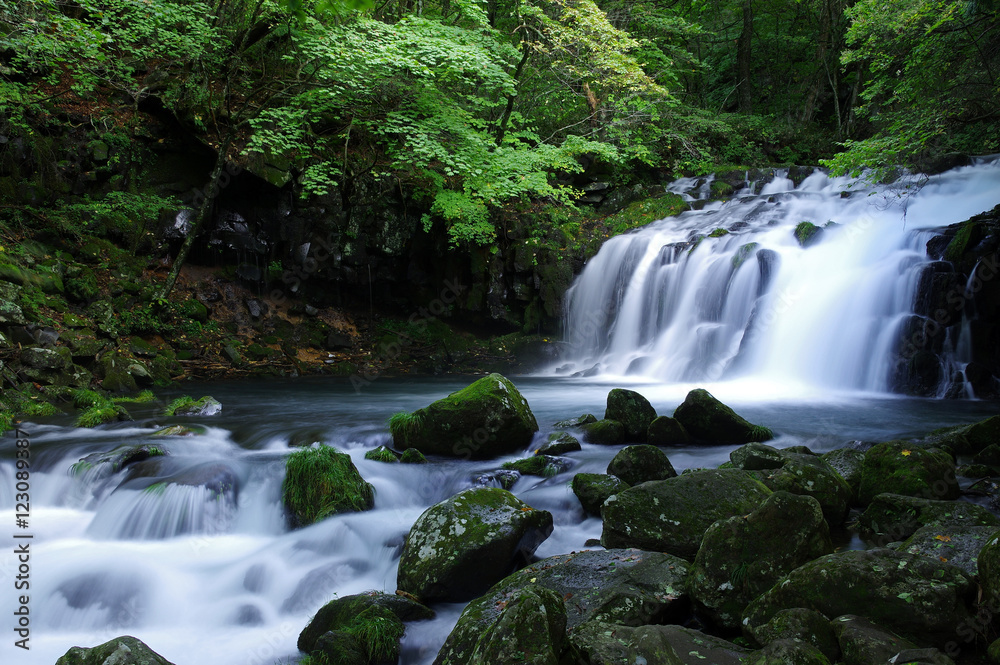 Obraz premium 蓼科大滝