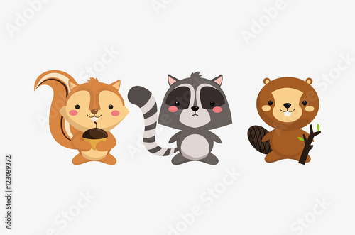 squirrel raccoon and beaver icons image vector illustration design 