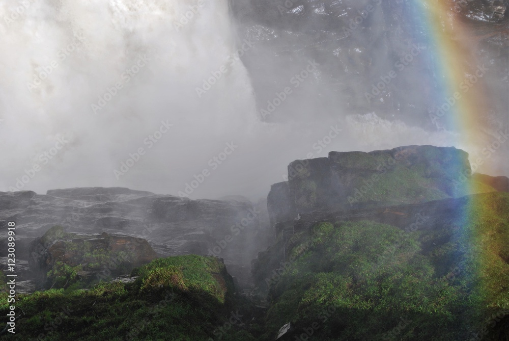 Fototapeta premium An impressive canyon carved into the bedrock by the powerful Falls