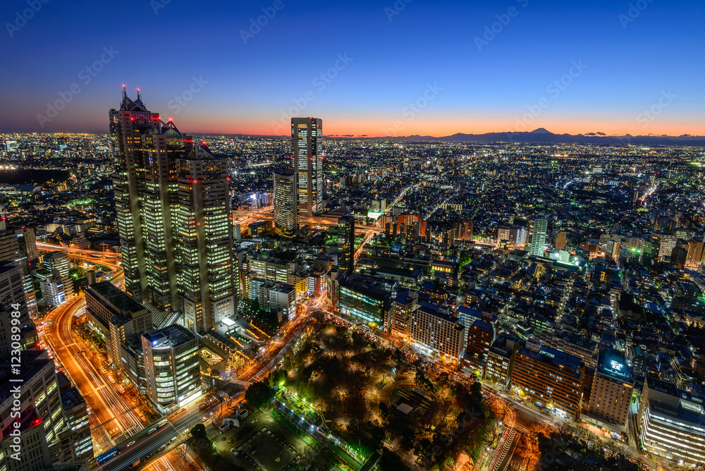 Obraz premium 富士山と東京の街並み