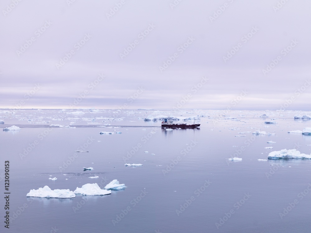 Naklejka premium Huge icebergs are on the arctic ocean in Greenland