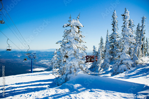 Горы в зимнее время года. Снежный пейзаж днем. Елки на горе