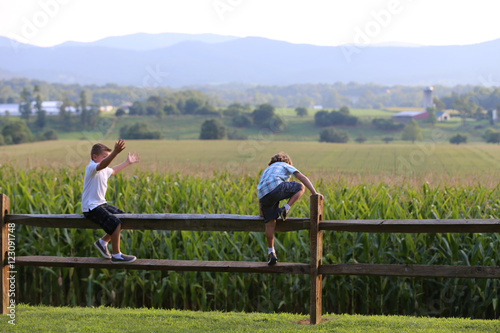Boys on a Fence © JosephA