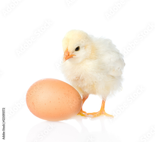 Cute chicken with egg. isolated on white background