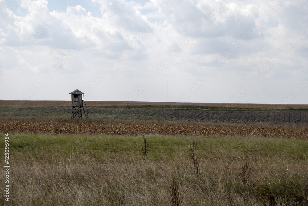 Landscape with a wooden observation tower 2