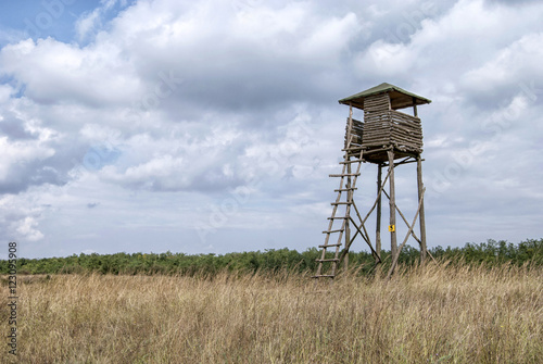 Wooden observation tower 2