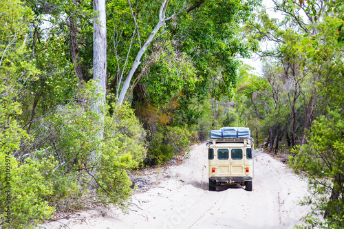 Sand road throught the Satinay Forest, Fraser Island