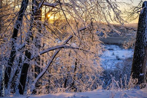 Sunset John Tkhe Woody betveen Tkhe trees Ying Winter period photo