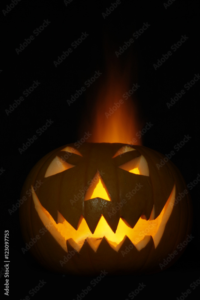 Fototapeta premium halloween pumpkin