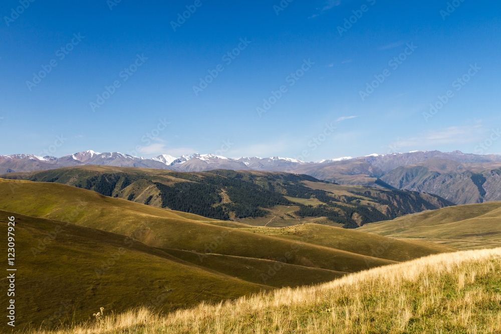 Fototapeta premium landscape in the mountains