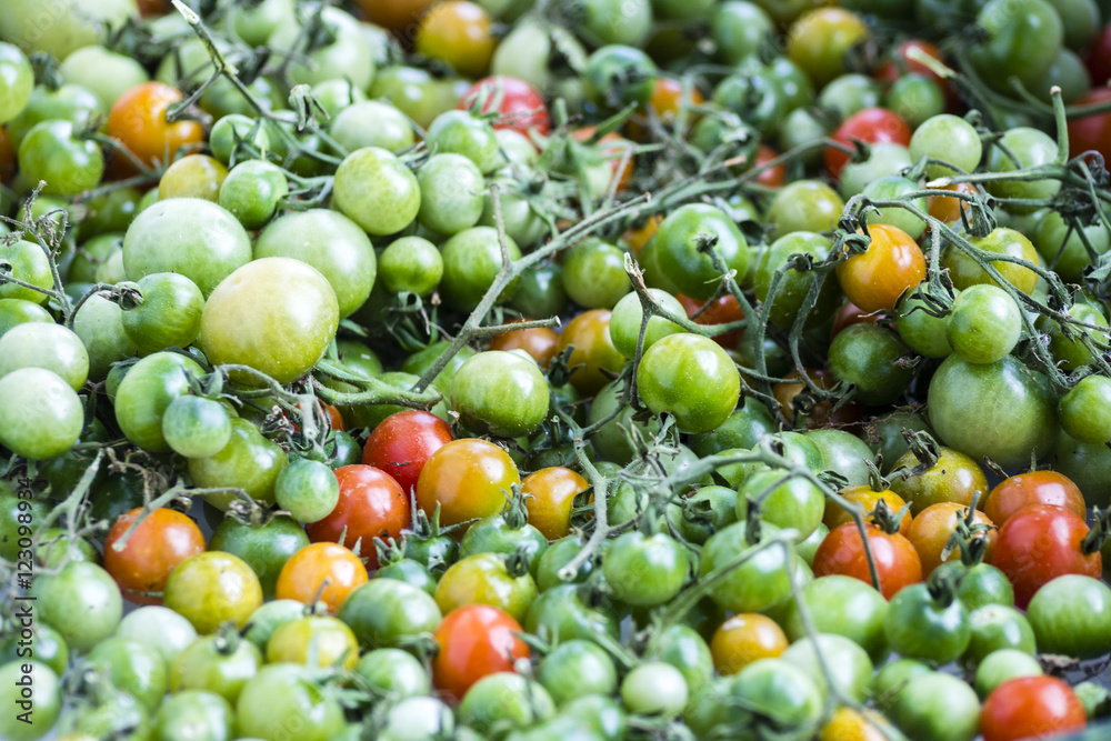 Unripe Green Tomatoes Background