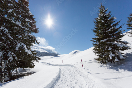 Wintersonne photo