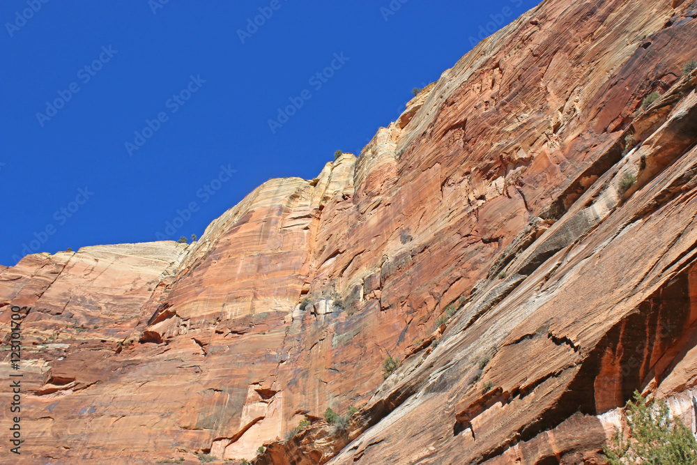 Fototapeta premium Zion National Park, Utah