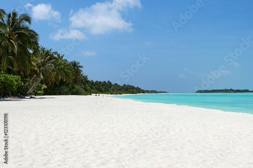Fototapeta Naklejka Na Ścianę i Meble -  white beach with coconut palms and water on the Maldives
