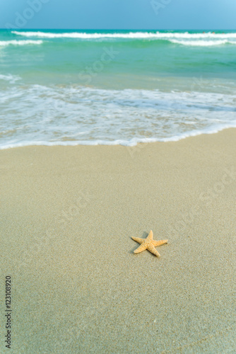 Starfish on perfect beach