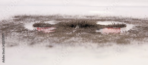 Magnetic Field. Science Magnetic Field. Physics magnetic field.