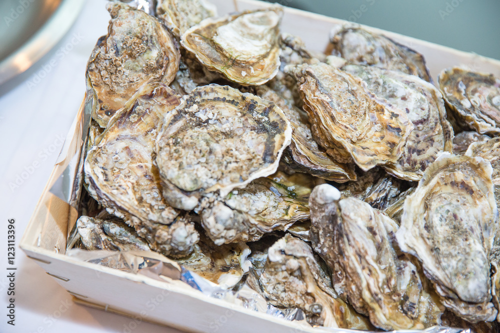 Oysters in basket Oysters in basket