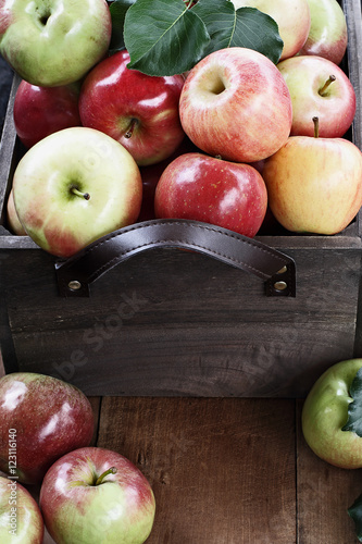 A Bushel of Apples