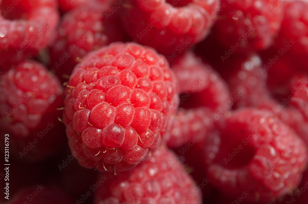 Himbeeren