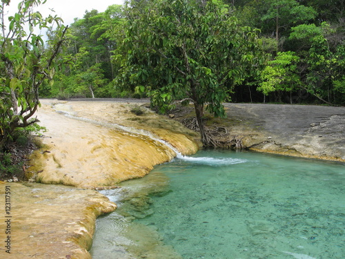 The emerald pool 'Sra Morakot', Krabi province, Thailand photo