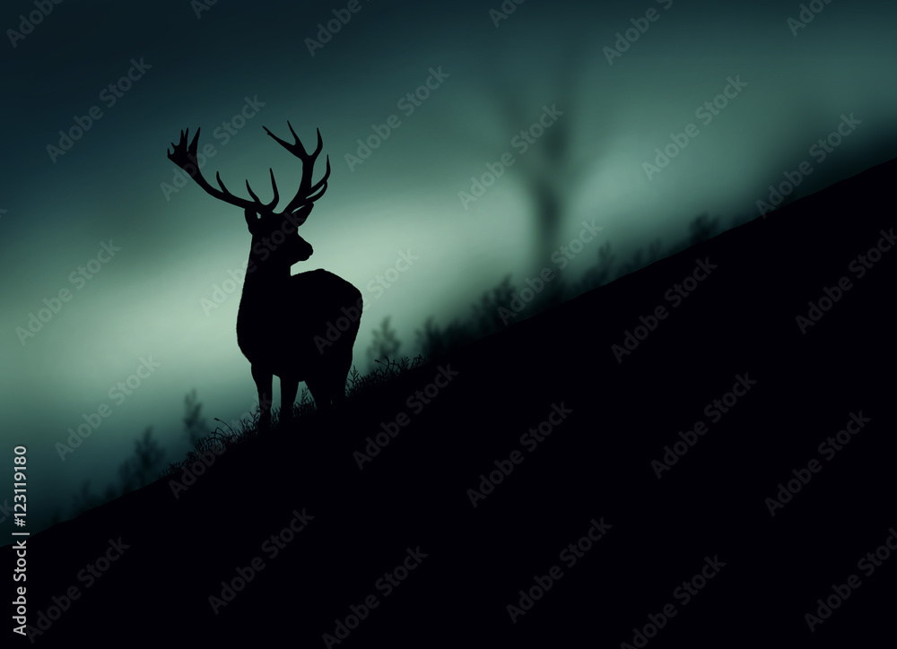 Silhouette di un cervo nel bosco