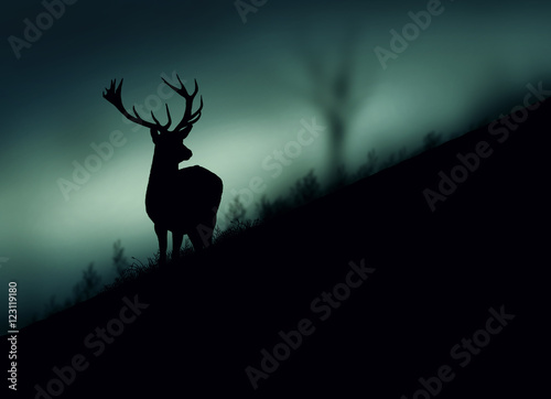 Silhouette di un cervo nel bosco