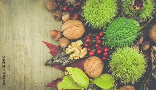 Obraz Kolekcja jesiennych owoców w stylu vintage. Różne rodzaje orzechów w łupinach, dzikiej róży i liściach na drewnianej powierzchni z miejsca na kopię po lewej stronie obrazu.