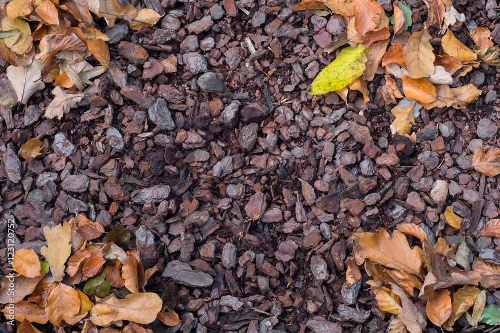 bark mulch with autumn leaves bark mulch with autumn leaves