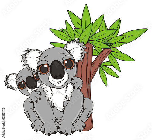 Fototapeta Naklejka Na Ścianę i Meble -  tree, eucalyptus, two, kids, mother, cartoon, gray, animal, bear, koala, australia, zoo, nature, wild, marsupial, toy, sit
